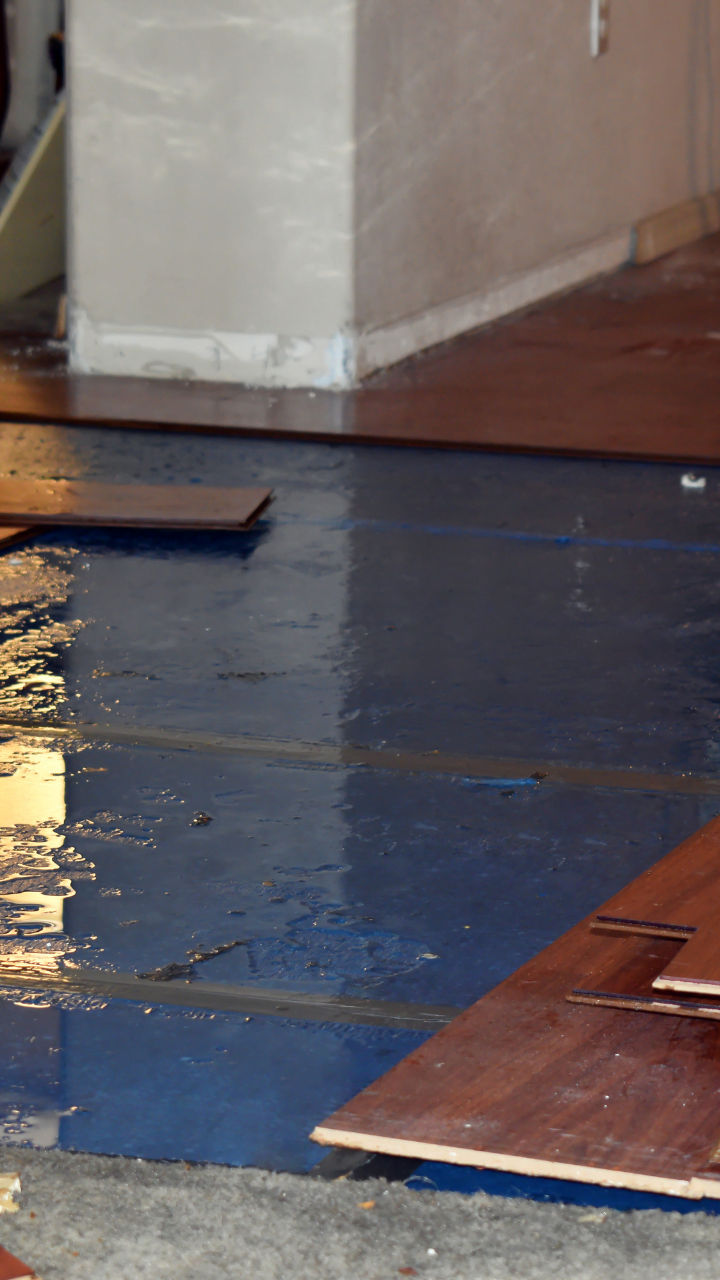 Untitled design (34)